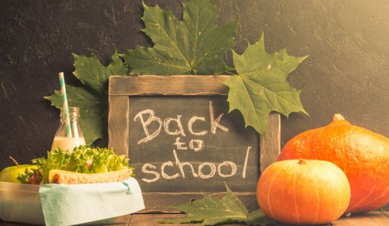 Back to School Health Tool